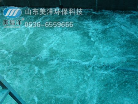 點(diǎn)擊查看詳細(xì)信息<br>標(biāo)題：曝氣 閱讀次數(shù)：3227