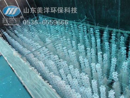 點(diǎn)擊查看詳細(xì)信息<br>標(biāo)題：填料 閱讀次數(shù)：2947
